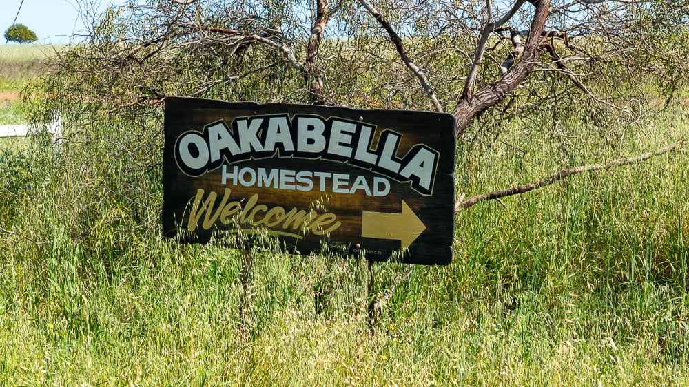 Oakabella Homestead Entrance sign